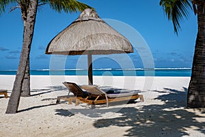 Tropical beach with palm trees and white sand blue ocean and beach beds with umbrella,Sun chairs and parasol under a