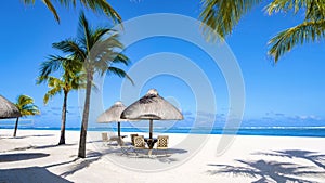 Tropical beach with palm trees and white sand blue ocean and beach beds with umbrella,Sun chairs and parasol under a