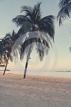 Tropical beach with palm trees and white sand at sunset, retro toning