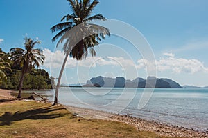 Tropical beach with palms and isles on background. Beautiful lagoon in Philippines. Summer vacation. Asian travel.