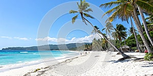 Tropical Beach with Palms and White Sand photo