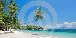 Tropical beach panorama with a leaning palm tree, Bintan island near Singapore Indonesia