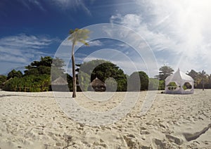 Tropical Beach Paradise. Island Of Maldives in Indian Ocean Blurred Background