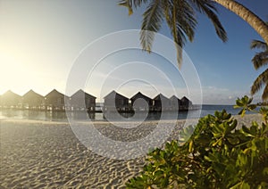 Tropical Beach Paradise. Island Of Maldives in Indian Ocean Blurred Background