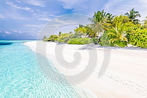 Tropical beach paradise with palm trees, white sand and blue sunny sky. Summer traveling vacation view