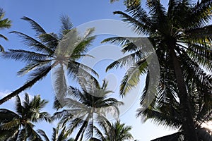 Tropical beach, Phangnga, The south of Thailand