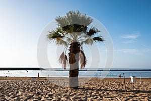Tropical beach. Playa De Las Teresitas, Tenerife, Canary Islands photo