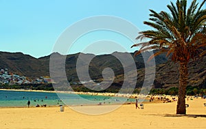 Tropical beach Playa de Las Teresitas,Tenerife island