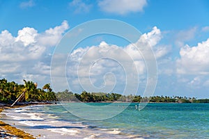 Tropical Beach in Punta Allen photo