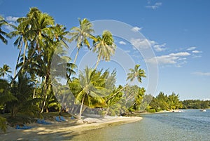 Tropical beach resort on moorea in south seas