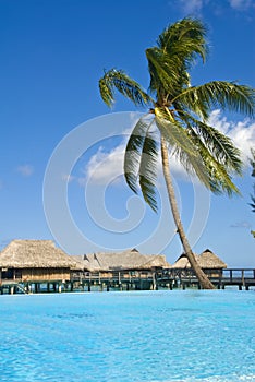 Tropical beach resort on moorea in south seas