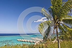 Tropical beach resort on moorea in south seas