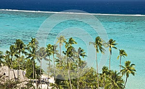 Tropical beach resort on moorea in south seas