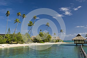 Tropical beach resort on moorea in south seas