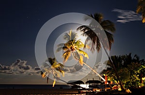 Tropicale Spiaggia centro di notte 