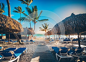 Tropical Beach Resort in Punta Cana, Dominican Republic photo