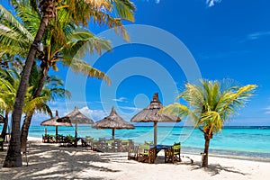 Tropical Beach restaurant. Sunny beach with palms and turquoise sea.