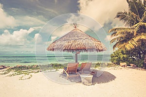 Tropical beach retro styled as summer landscape with lounge chairs and palm trees and calm sea for beach banner