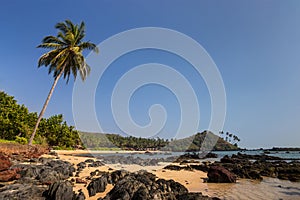 Tropical beach with rocks and palm trees