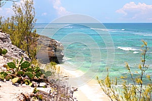 Tropical beach. rocky shore with turquoise ocean and cactus. Grand Turk island, The Bahamas