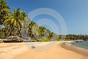 Tropical beach with a row of fishing boats