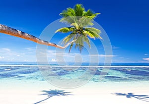 Tropical beach on Samoa vacation