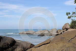 Tropical beach with sand, ocean, and green vegetation