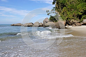 Tropical beach with sand, ocean, and green vegetation