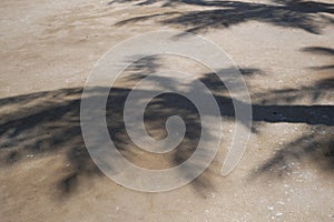 Tropical beach sand with shadows of coconut palm tree leaves. Travel and vacations concept background. Top view