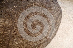 Tropical beach sand with shadows of umbrella from palm tree leaves. Travel and vacations concept background. Top view. Flat lay.