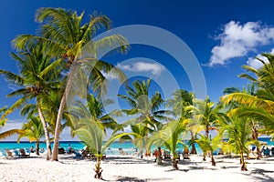 Tropical Beach, Saona Island,