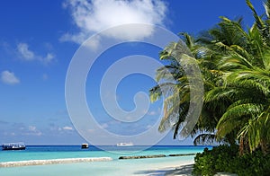 Tropical beach scene