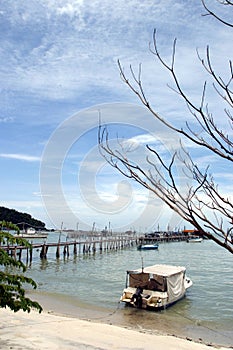 Tropicale Spiaggia scena 