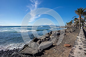 Tropical beach scene featuring swaying palm trees, smooth rocks, and rolling waves