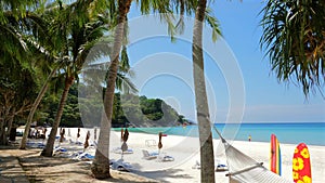 Tropical beach scenery with palm trees