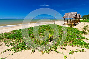 Tropical beach scenery with small huts