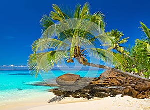 Tropical beach scenery in Thailand