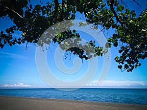 Tropical Beach Scenery Under The Shade Tree On Sunny Clear Blue Sky At The Village