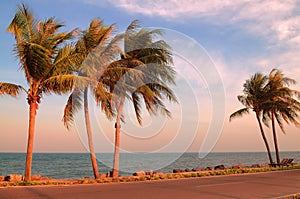 Tropical beach and sea