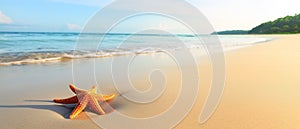 Tropical beach with sea star on sand.