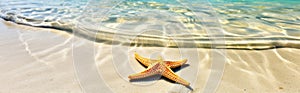 Tropical beach with sea star on sand.