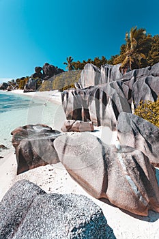 Tropical Beach in Seychelles