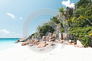 Tropical Beach in Seychelles