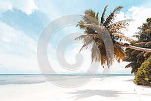 Tropical Beach in Seychelles