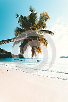 Tropical Beach in Seychelles