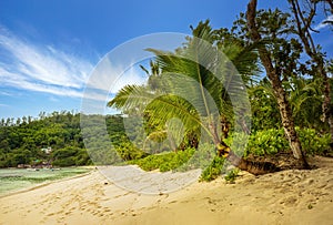 Tropical beach in Seychelles: Baia Lazare on the west coast of Mahe island, photo
