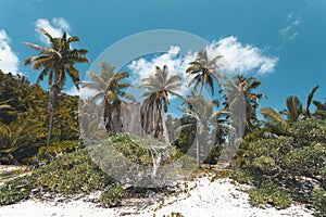 Tropický pláž v seychely 