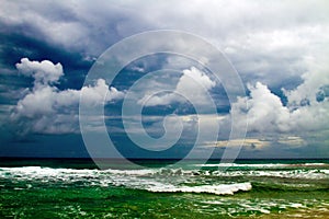 Tropical Beach Shoreline in Hawaii