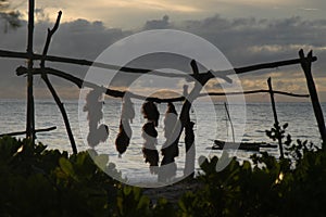 Tropical beach silhouettes