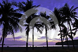 Tropical Beach and Sky at Dusk